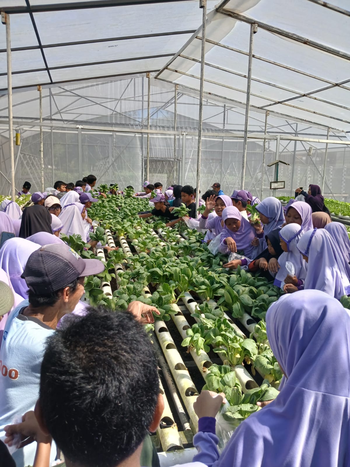 Outing Class Kelas Unggulan di Taman Botani Jember: Belajar Bertani Modern dengan Metode Hidroponik
