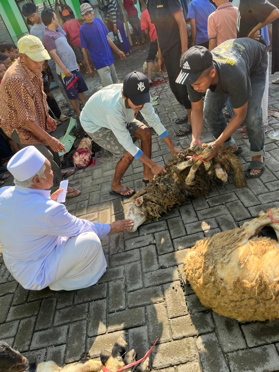 Yayasan Ar-Roudhoh Laksanakan Penyembelihan Hewan Kurban pada Hari Raya Idul Adha 1447 H