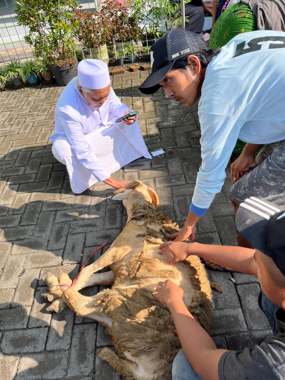 Gambar pendukung Yayasan Ar-Roudhoh Laksanakan Penyembelihan Hewan Kurban pada Hari Raya Idul Adha 1447 H